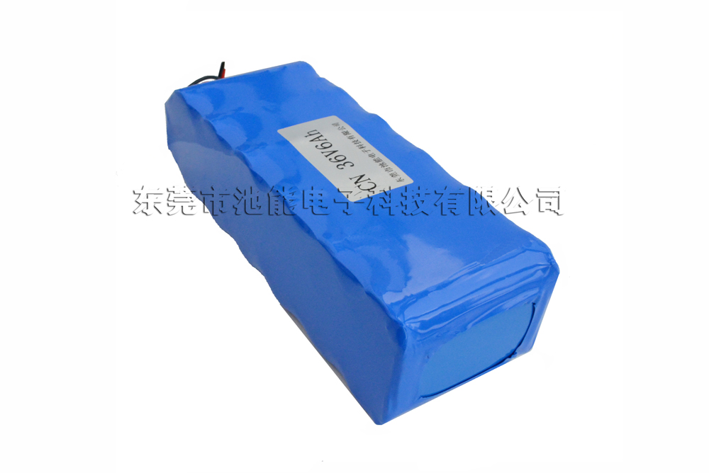 36V 6000mAh磷酸铁锂电池组